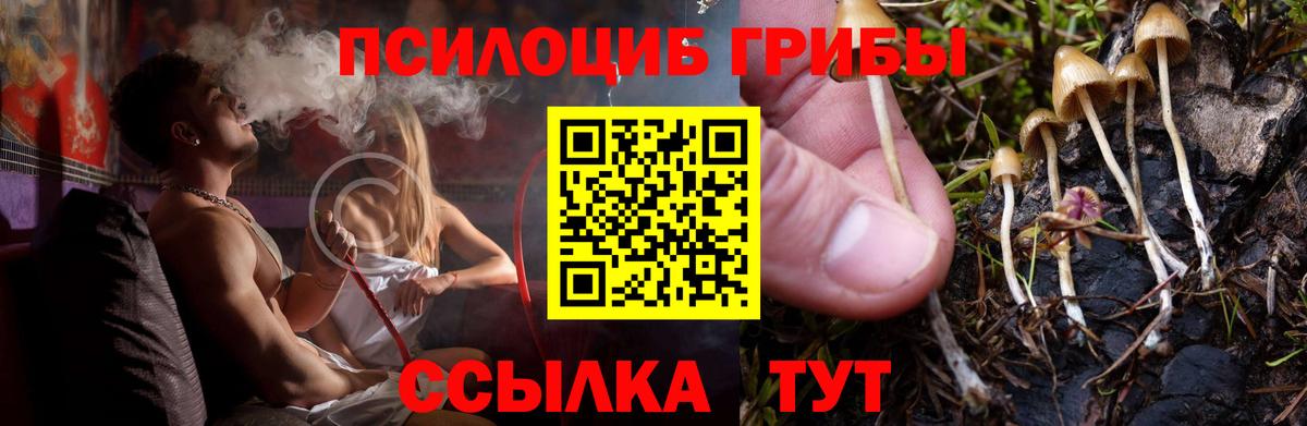 Галлюциногенные грибы Cubensis  Вход с VPN  Псилоцибиновые грибы Magic Shrooms  Баксан 